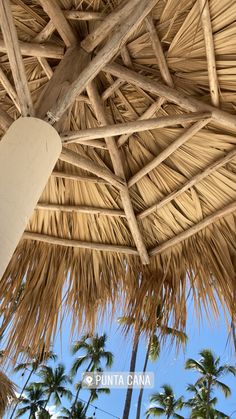 the roof of a hut with palm trees and blue sky in the backgroud