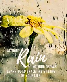 a yellow flower sitting on top of a rain covered window with the words, without rain nothing grows learn to embrace the storms of your life