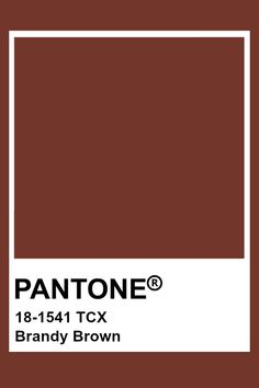 pantone's brand logo on a brown background with white square in the center