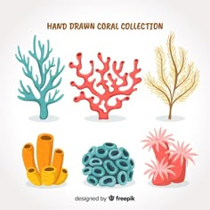 hand drawn coral collection on white background with orange and blue corals in the foreground