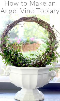 a white bowl with some plants in it