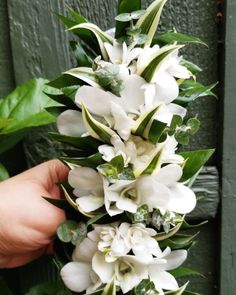 a hand holding a bouquet of white flowers