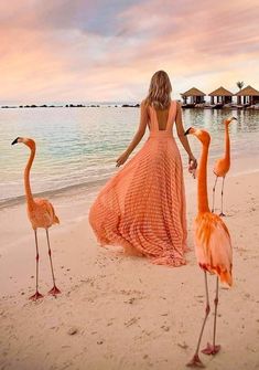 # my flamingo lover Long Prom Dress, Evening Dresses Long, Aruba, Beach Style, Holiday Dresses, Deep V, Long Skirt, Nasa