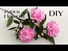 some pink flowers and leaves on a white background with the words paper flowers diy