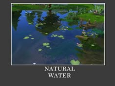 Nature Cc Sims 4, Sims 4 Garden Mods, Sims 4 Water Cc, Sims 4 Free Mods, Cc Makeup, Ts4 Mods, Beacon Hills