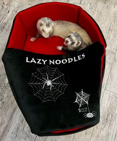 two ferrets sitting in a red and black bed with the words lazy noodlees on it