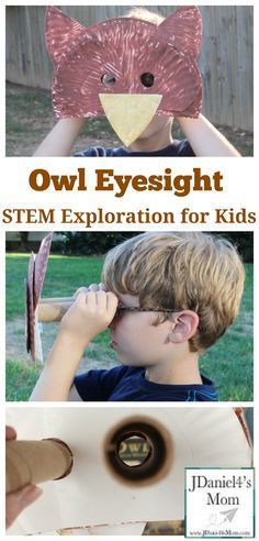 Owl Preschool, Baby Activities 1 Year, Owl Activities, Steam Ideas, Preschool Stem, Owl Mask, Baby Activities, Steam Activities