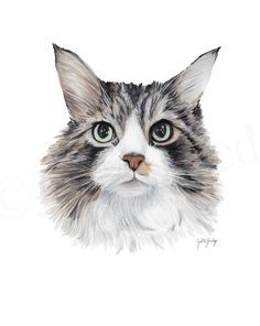 a drawing of a cat's face with green eyes and long whiskers