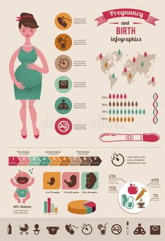 pregnant woman info sheet with icons and symbols for the baby's birth, including