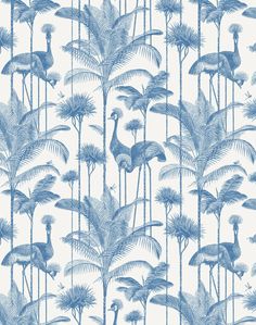 a blue and white wallpaper with an image of birds in the palm tree forest