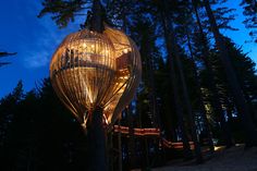 a tree house lit up at night in the woods with lights on it's sides