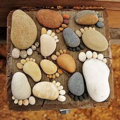 rocks and stones arranged on top of a piece of wood that is sitting on the ground