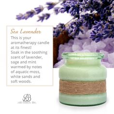 Aroma: Sea Lavender Aquatic Fragrances, Spa Aesthetic, Sea Lavender, Reusable Containers, Coastal Scents, Artisan Candles, Fragrant Candles, Lavender Fragrance, Coastal Home Decor