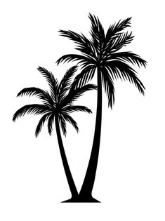 two palm trees on a white background