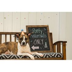 a brown and white dog laying on top of a wooden bench next to a party sign