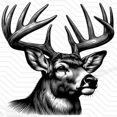 a black and white drawing of a deer with antlers on it's head