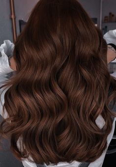 the back of a woman's head with long, wavy brown hair in it