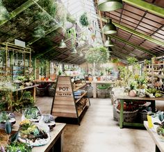 the inside of a greenhouse filled with lots of potted plants and other greenery