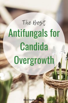 Candida Supplements, Digestive Issues, Candida Diet, Mango Recipes, Weight Problems