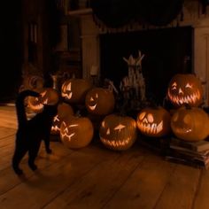 a black cat standing in front of carved pumpkins