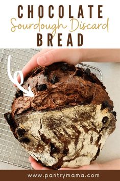 someone holding a chocolate sourdough bread on a cooling rack with text overlay