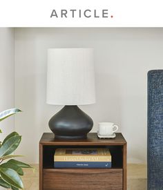 a table with a lamp on top of it next to a book shelf and plant