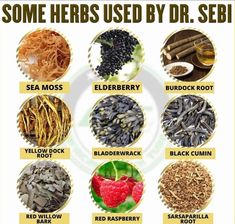 some herbs used by dr sebi are shown in this graphic above it is an image of