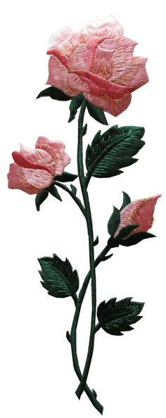 two pink flowers with green leaves on a white background