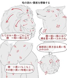 an animal with red marks on it's face and head, in different languages