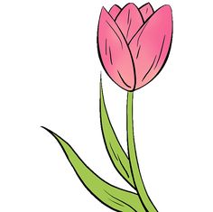 How to Draw a Tulip Really Easy Drawing Tutorial Tulip Flower Drawing, Tulip Drawing, Easy Flower Drawings, Tulip Colors, Flower Drawing Tutorials, Tulip Painting, Tulips Art