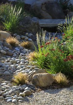 a garden with rocks and plants in it