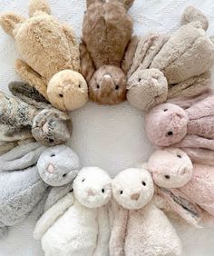 a group of stuffed animals arranged in a circle