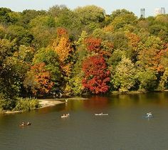 several canoes are on the water in front of colorful trees