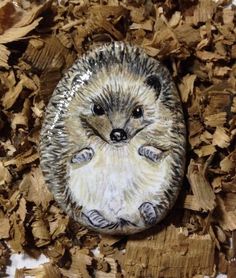 a hedgehog painted on a rock surrounded by wood shavings