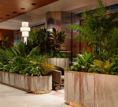 two large planters filled with green plants in a lobby