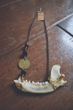 Raccoon jaw bone necklace with vintage brass coin and black agate beads, on antiqued brass rolo chain. Find pieces like this and more at www.deadthingsbysarah.com! Bone Necklace, Jaw Bone, Rolo Chain, Agate Beads