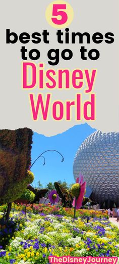 the top 5 best times to go to disney world with text overlaying it