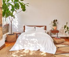 a bed with white sheets and pillows next to a potted plant in a bedroom