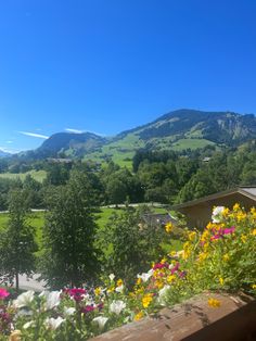 flowers are blooming in the foreground with mountains in the background on a sunny day