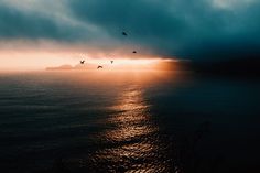 birds flying over the ocean at sunset with clouds in the sky and sunbeams