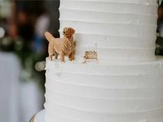 a dog figurine on the side of a white wedding cake with frosting