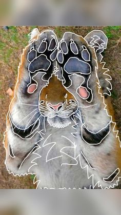 a close up of a cat's face with its eyes closed and paws on the ground