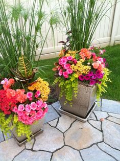 two potted plants sitting on top of a stone floor next to grass and flowers