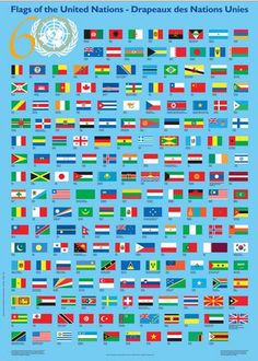 flags of the united nations - drapeaux des nationss unies poster print