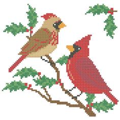 two red birds sitting on top of a tree branch with leaves and berries around them