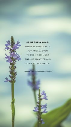 two purple flowers in front of a blue sky with a quote from the book for my truly glad there is wonderful joy, even though you must end