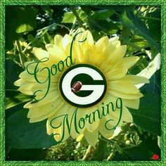 a sunflower with the words good morning on it and a green frame around it