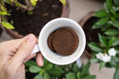 a person holding a white cup filled with brown stuff in front of potted plants