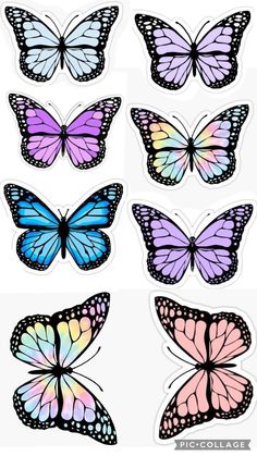 six butterflies with different colors and shapes on the wings, all in various positions to look like