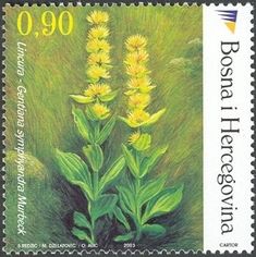 a postage stamp with yellow flowers on it